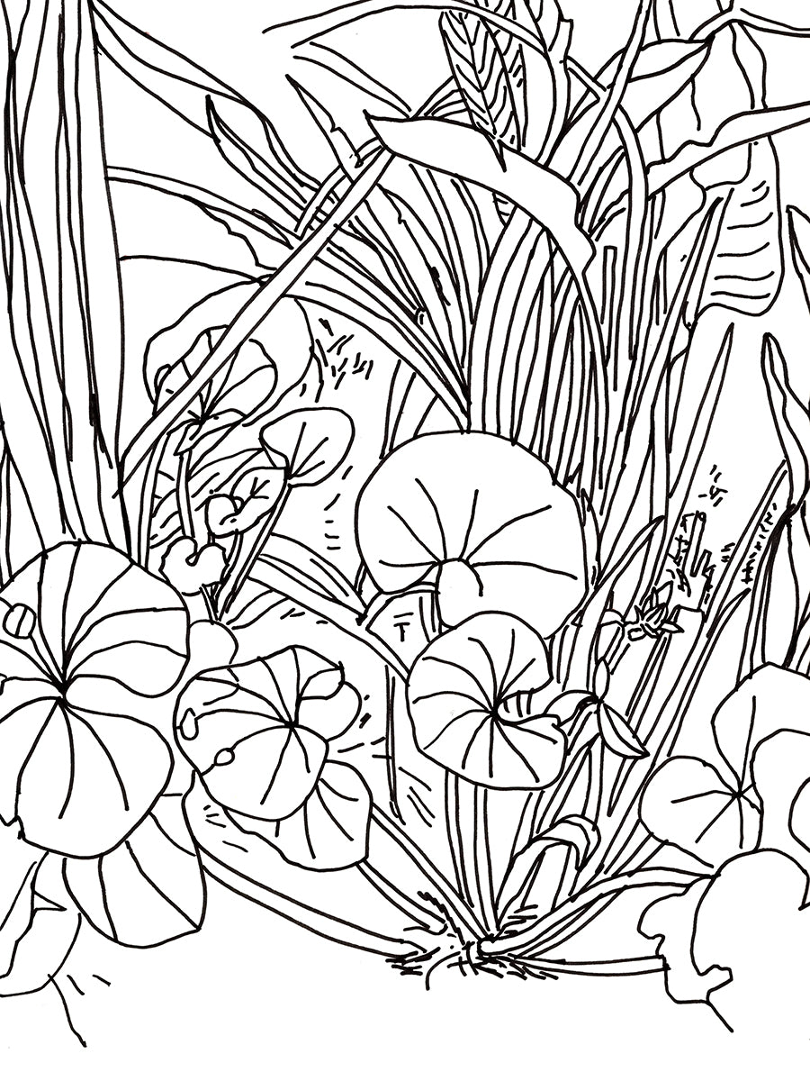 Editions d'art de l'artiste Déborah Di Fiore, signées et numérotées sur leurs certificats