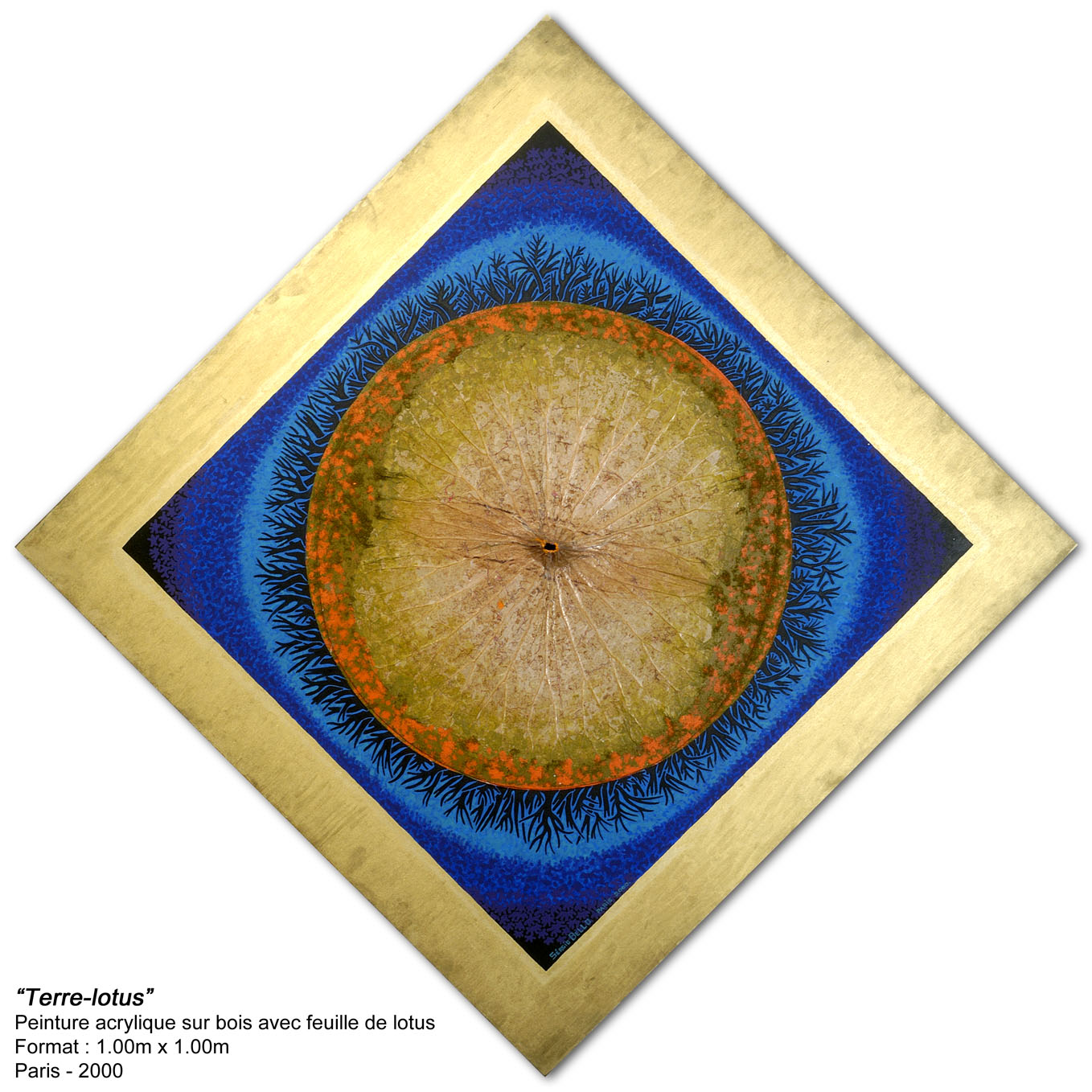 Editions d'art de l'artiste Sérgio Bello, signées et numérotées sur leurs certificats