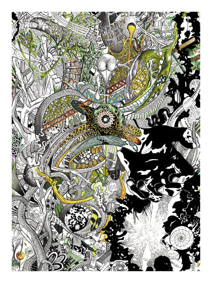 Editions d'art de l'artiste Nils Wachten, signées et numérotées sur leurs certificats